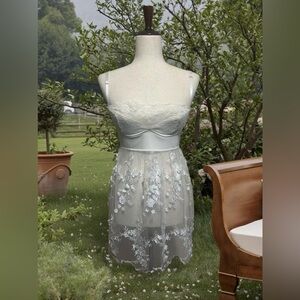 Coquette babydoll mesh top/dress